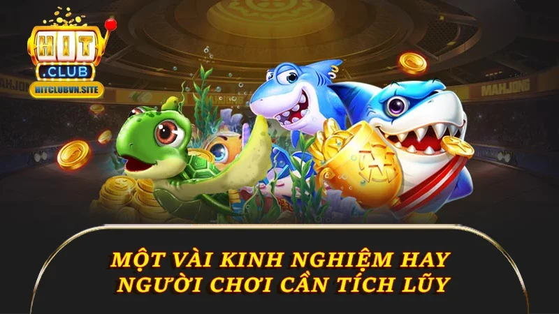 Một vài kinh nghiệm hay người chơi cần tích lũy