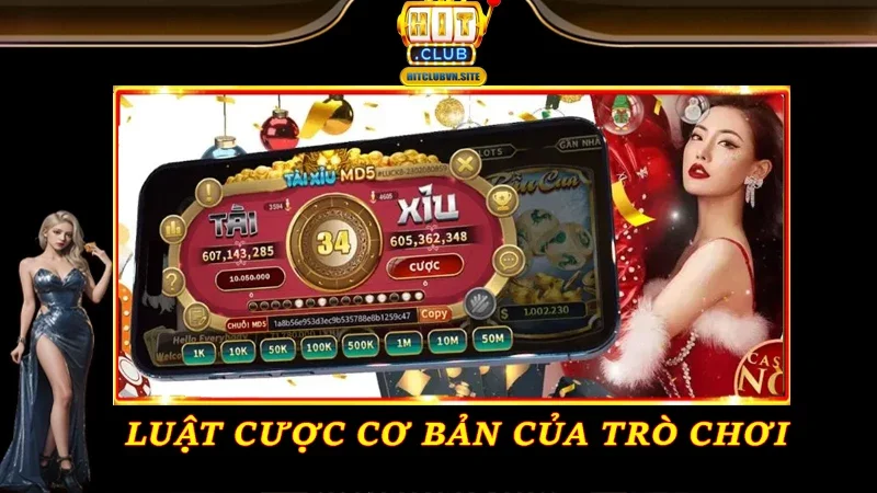 Luật cược cơ bản của trò chơi Luật cược cơ bản của trò chơi